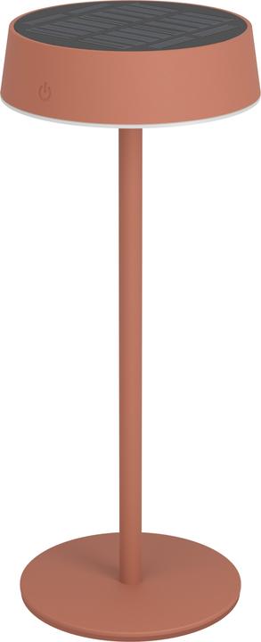 Rot