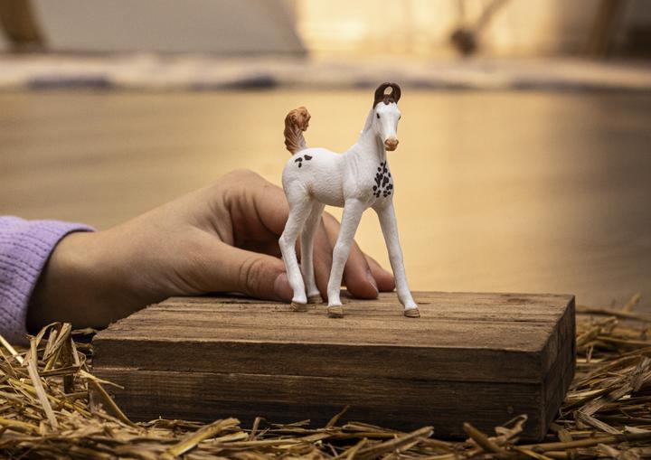 Actual product image Schleich Marwari Fohlen
