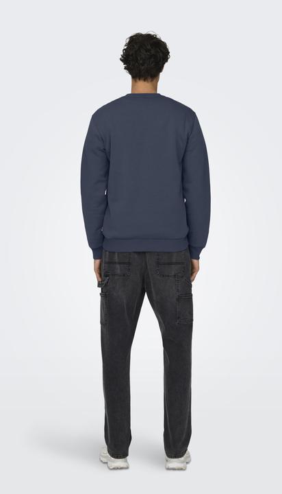 Produktbild Only & Sons Onsceres Crew Neck Noos (L)