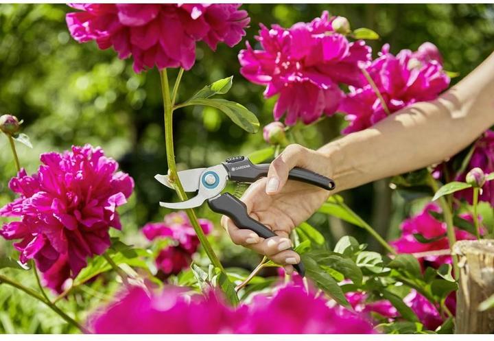 Actual product image Gardena EcoLine