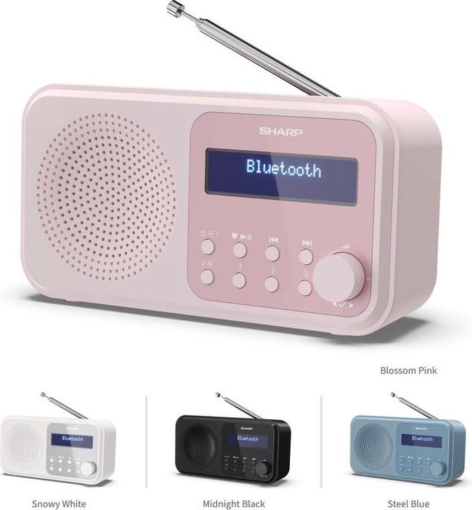 Immagine prodotto Sharp DR-P420 (DAB, FM, Bluetooth)