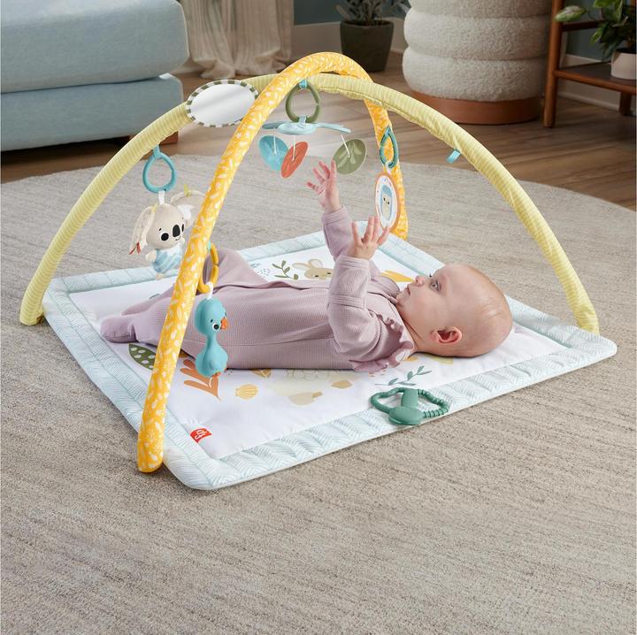 Image du produit Fisher-Price Simplement des sens