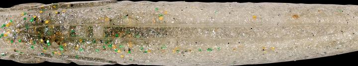 Produktbild Caperlan 338857 (13 cm)