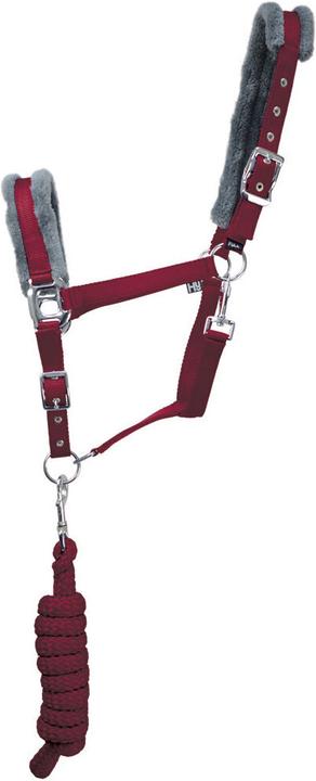Immagine prodotto Hy Equestrian Set di cavezza e guinzaglio per cavalli