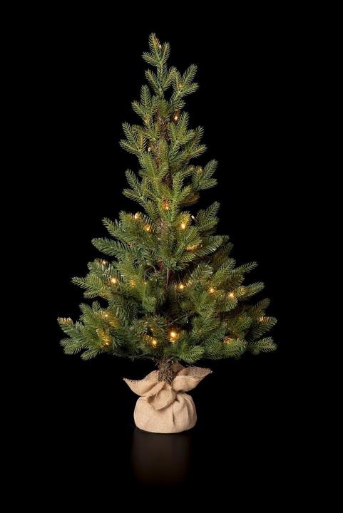 Actual product image STT Nordic Tree