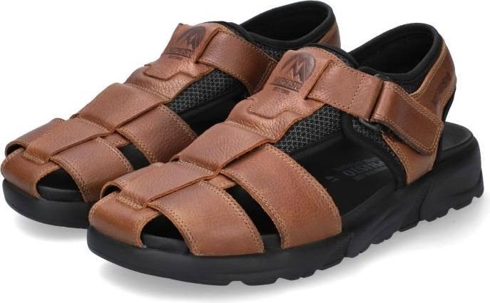 Mephisto Toren