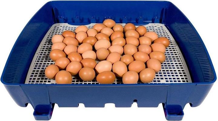 Produktbild APS Brutapparat 49 Eier Wasserspender vollautomatisch Brutmaschine Brutautomat
