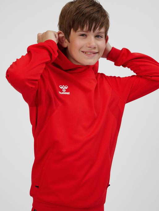 Immagine prodotto hummel Hmlauthentic Pl Hoodie Kids (116)