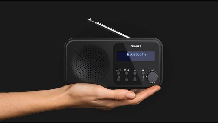 Produktbild Sharp DR-P420 (DAB+, DAB, FM, Bluetooth)