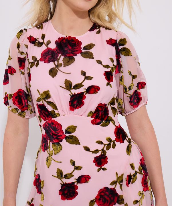 Produktbild Joe Browns Vintage Inspired Devore Rose Mini Dress