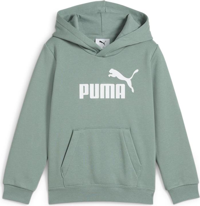 Actual product image Puma ESS No. 1 Logo Hoodie FL PS (104)