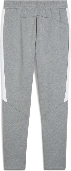 Actual product image Puma teamEVOSTRIPE Pants (S)