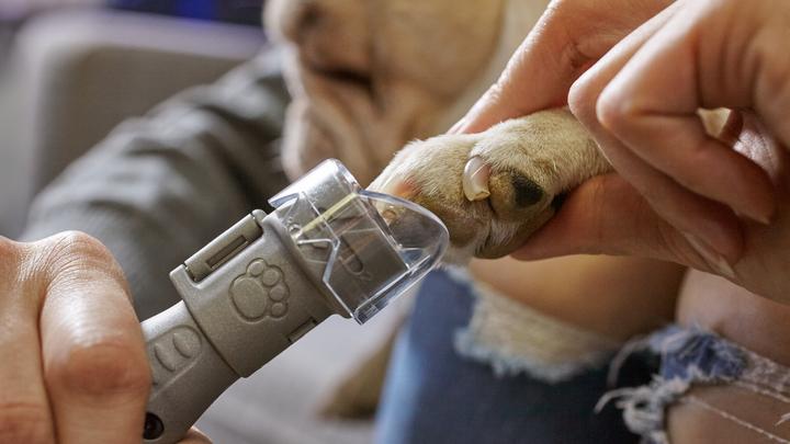 Produktbild Dremel Krallenpflegeset für Haustiere (Hund)