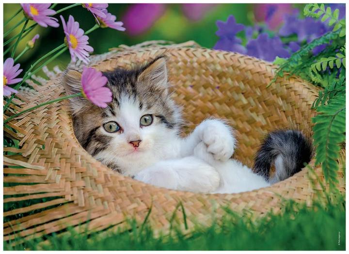 Immagine prodotto Ravensburger Piccoli gatti (1000 pezzi)