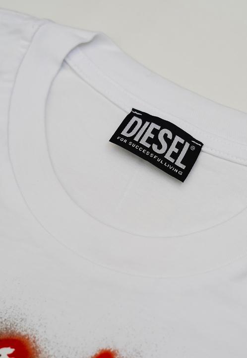 Actual product image Diesel Herren T-Shirt 100% Baumwolle - Modell Erebo Nova - Casual (L)