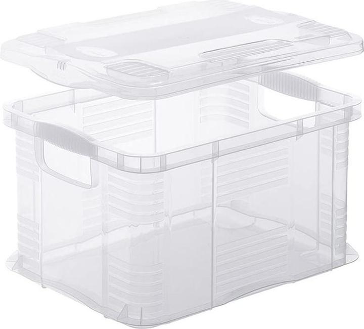 Image du produit Rotho Agilo (29 x 19 x 15,5 cm, 6 l)