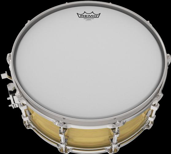 Actual product image Remo Ambassador (Snare, Tom, Drum)