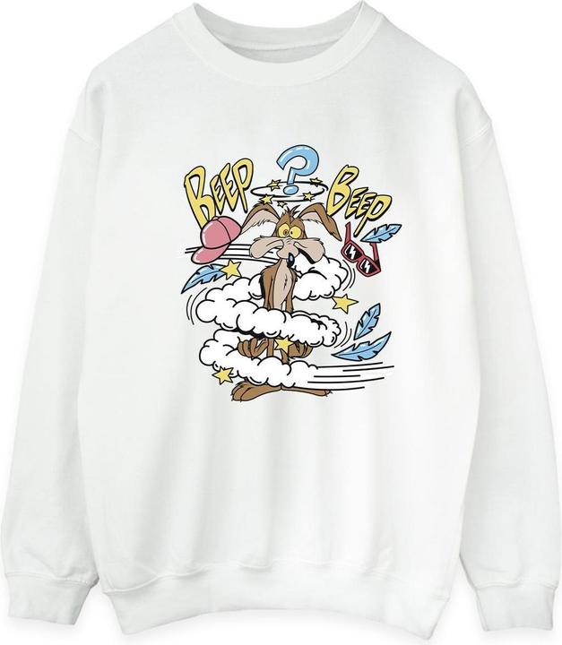 Looney Tunes Coyote Daze Sweatshirt (M)