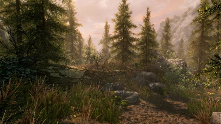 Produktbild Bethesda The Elder Scrolls: Skyrim (Xbox One X, Xbox Series X, Multilingual)