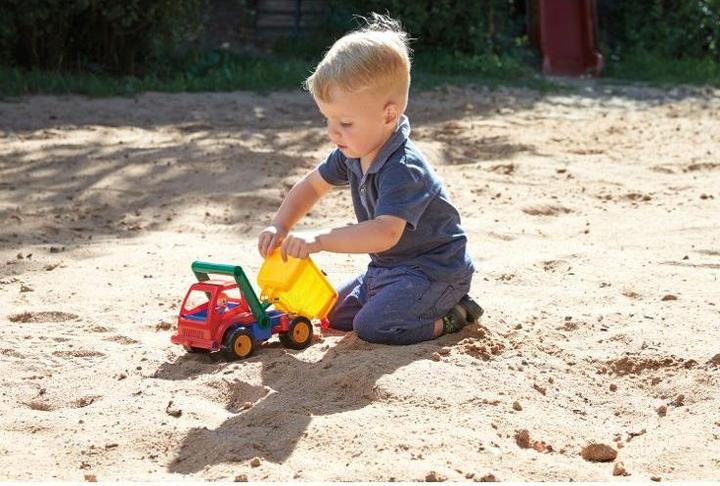 Actual product image Lena Tipper lorry