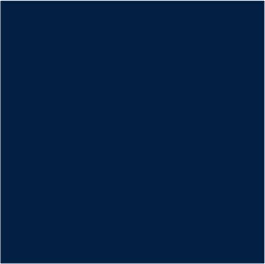 Immagine prodotto Rembrandt VERNICE AD OLIO T9 508 (Blu di Prussia, 40 ml)