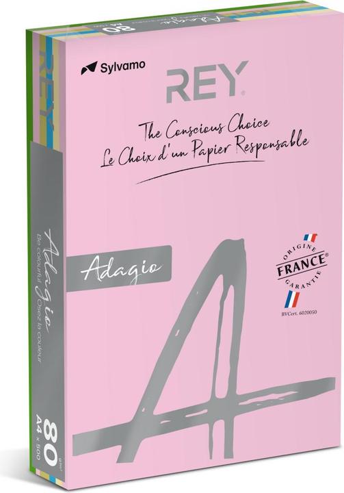 Actual product image Rey Coloured paper RYADA080X910 Coloured assorted 80 g/m² (80 g/m², 500 x, A4)