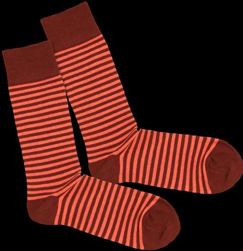 DillySocks Ring (Einzelpack)