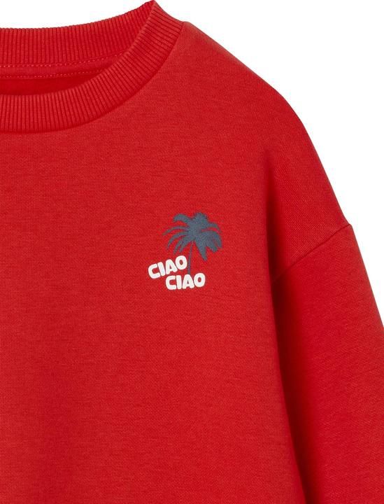 Image du produit Vertbaudet Jungen Sweatshirt mit Urlaubsmotiv hinten, Recycling-Polyester (158)