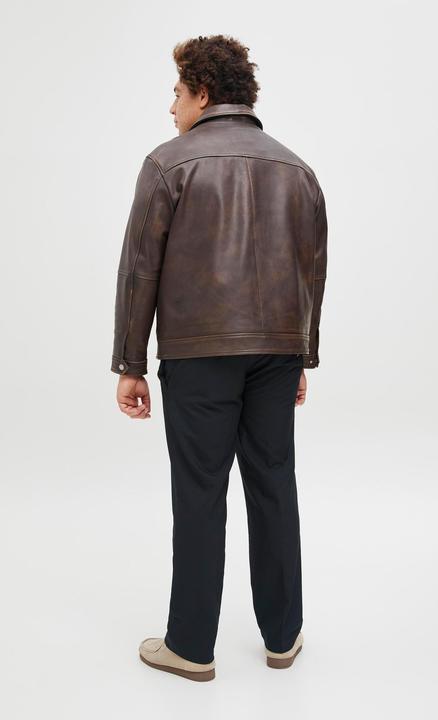 Actual product image Jack & Jones Plus Size Tapered Fit Karottenhosen Karottenhosen (W44/L34)