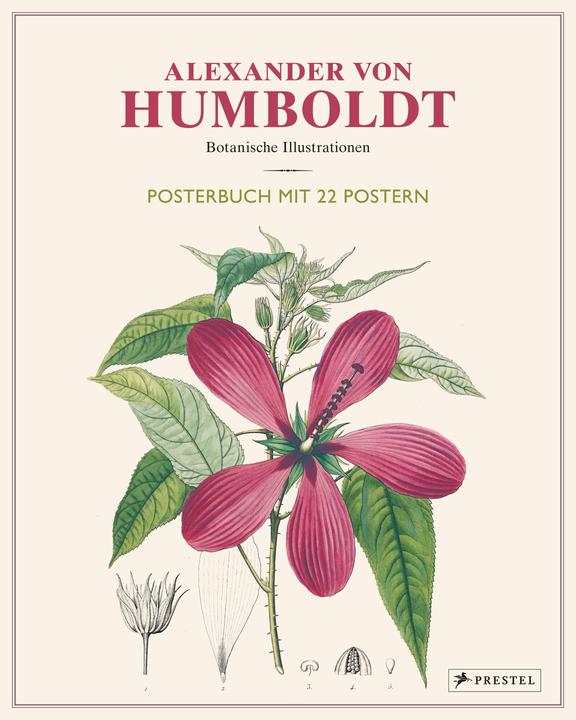 Produktbild Alexander von Humboldt: Botanische Illustrationen. Posterbuch mit 22 Postern (Deutsch, Prof. Dr. Otfried Baume, 2019)