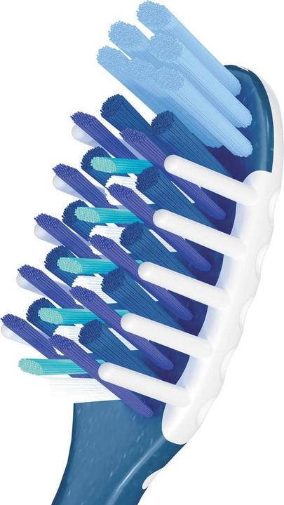 Actual product image Oral-B Pro-Expert (Medium, 1 x)