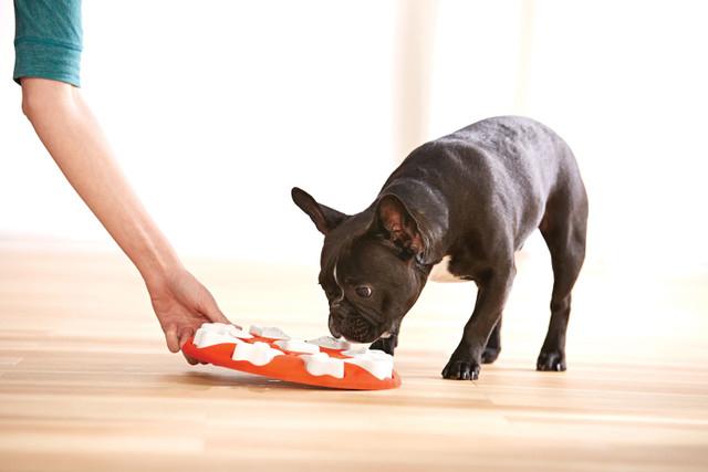 Produktbild Nina Ottosson Dog Smart (Intelligenzspielzeug Hund)