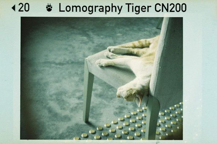 Produktbild Lomo Color Tiger 110