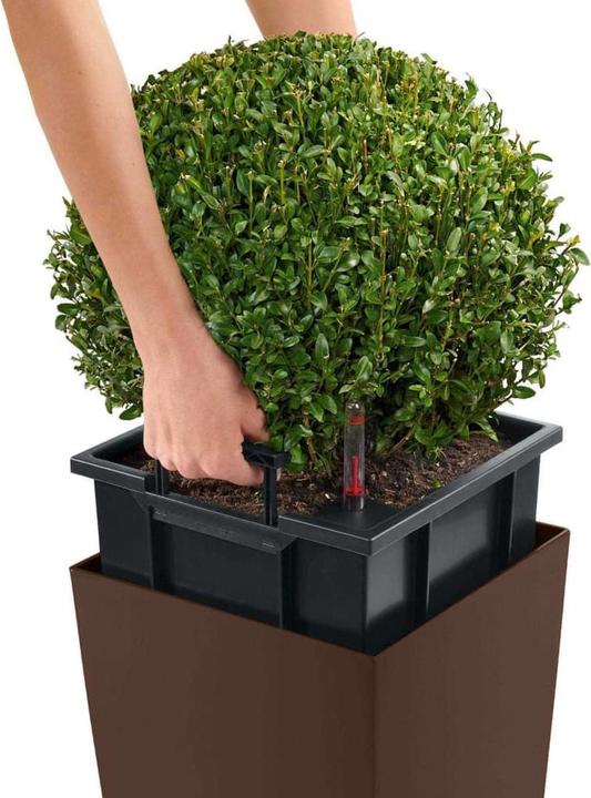 Actual product image Lechuza Cubico Color 30 (29.50 cm)