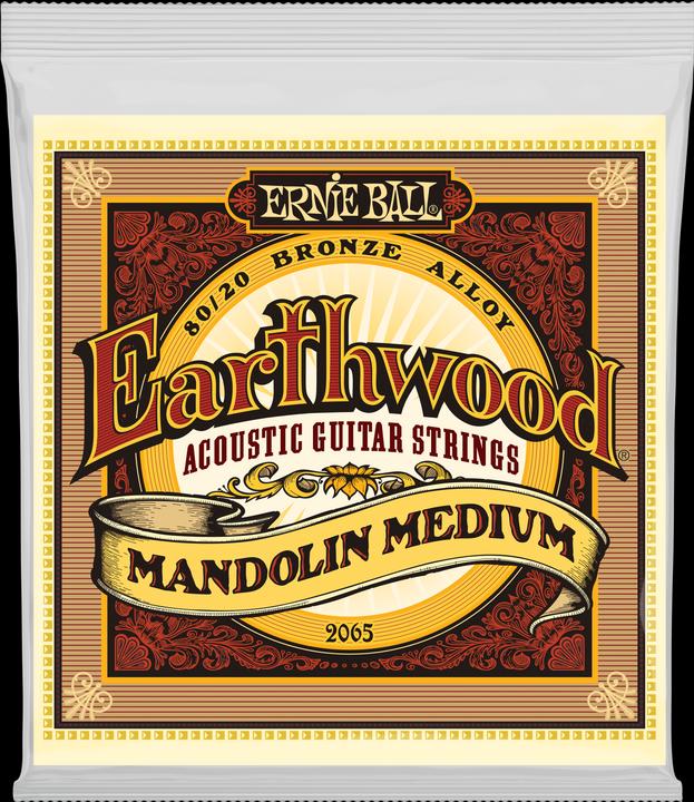 Immagine prodotto Ernie Ball Set di corde, Acustico, Terrestre Bronzo, Mandolino Medio (Mandolino)