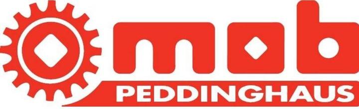 Produktbild Peddinghaus Locheisensatz