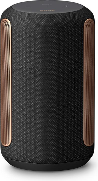 Actual product image Sony SRS-RA3000 (Electrical connection)
