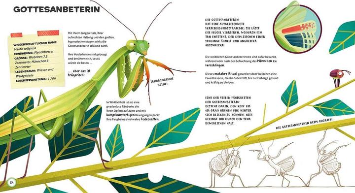 Actual product image National Geographic Besonders und wunderbar: Tiere (German, Cristina Banfi, 2021)