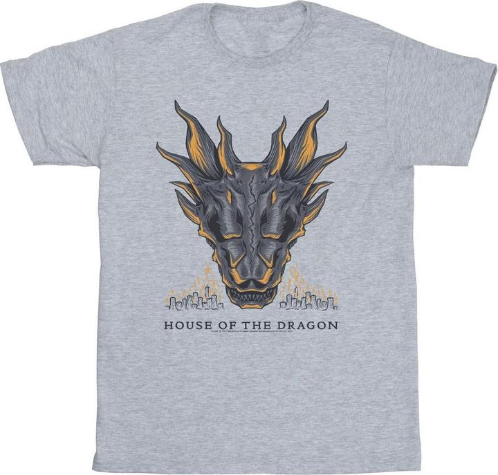 Game of Thrones Dragon Flames TShirt (XL)