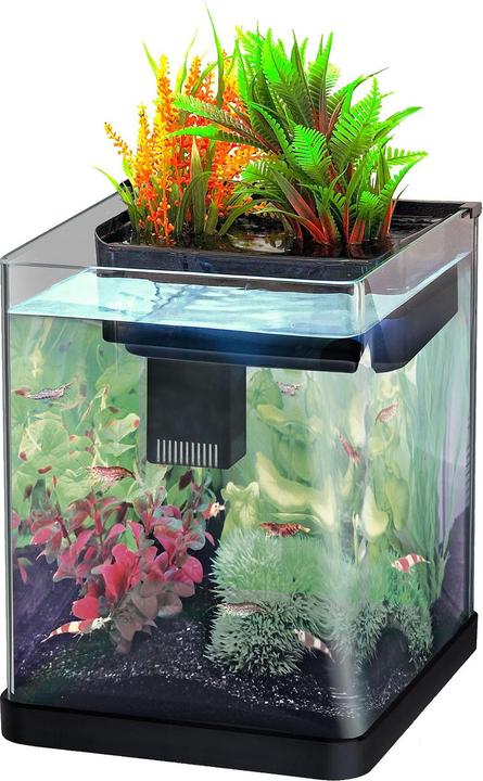 Amazonas Nano impianto (20 l)