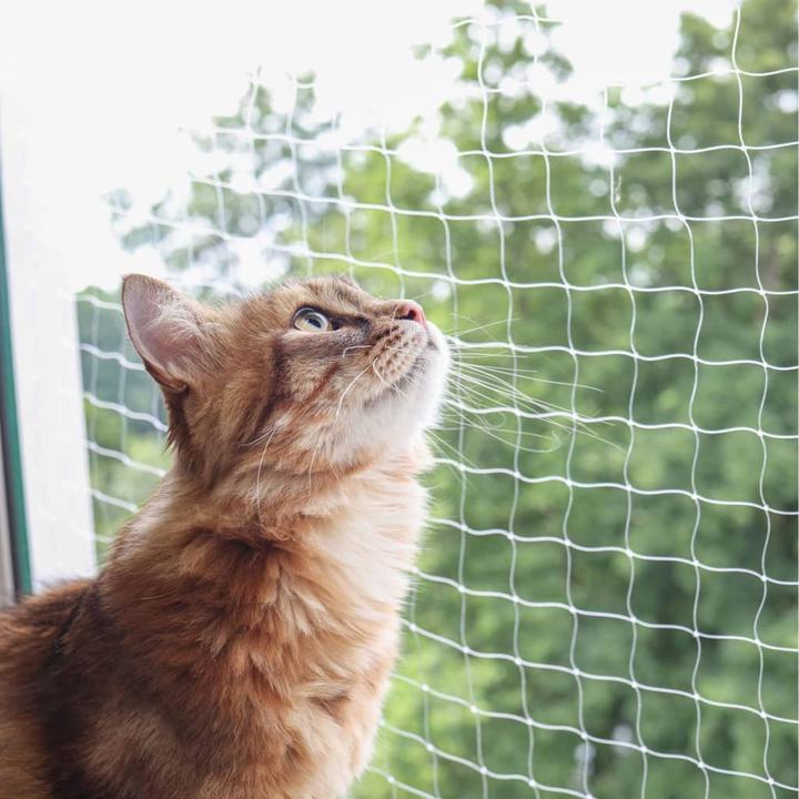 Produktbild Kerbl Katzenschutznetz