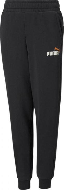 Puma ESS+ 2 Col Logo Pants FL cl B (164)