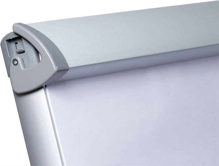 Actual product image Dahle Flipchart board Flip-Chart Professional 76-76011-15731