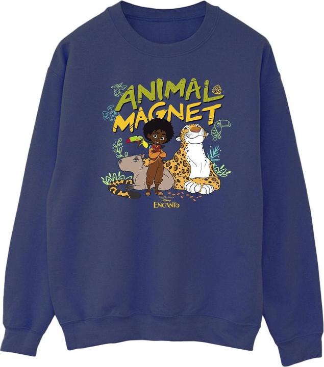 Disney Encanto Animal Magnet Sweatshirt (M)