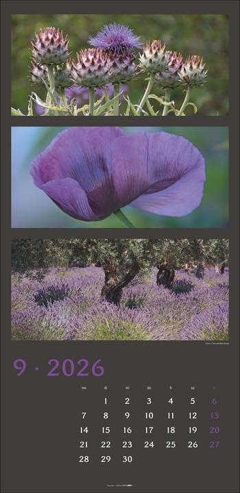 Produktbild Die Farben der Natur Kalender 2026 (33 x 68 cm, Deutsch)
