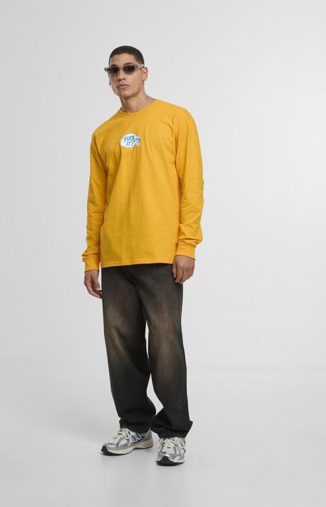 Produktbild Huf Longsleeve Special Delivery (S)