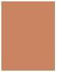 Produktbild L'Oréal Paris Paradise (2 Baby one more tan, Bronzer, 9 g)