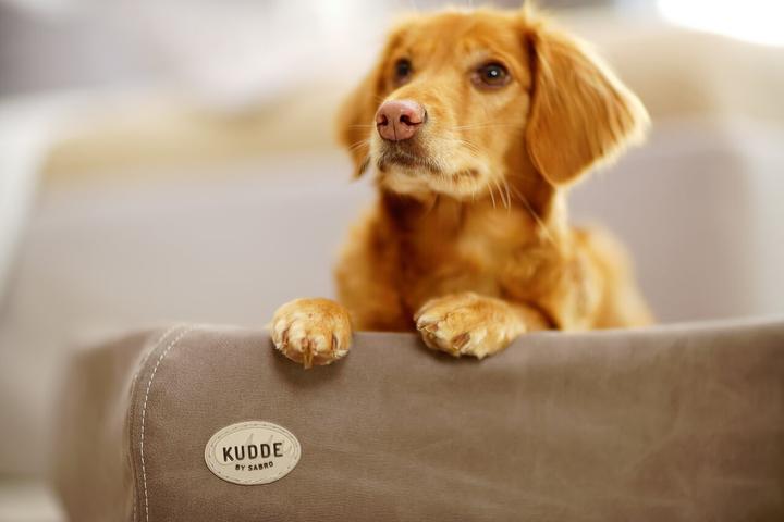 Produktbild Sabro Hundebett (Hund)