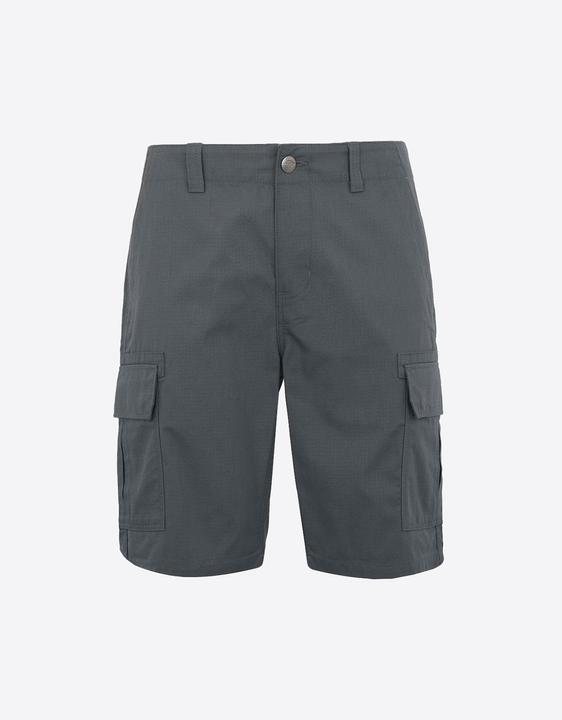 Dickies Millerville Short (31)