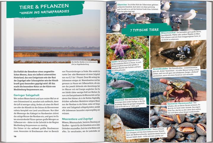 Produktbild OUTDOOR GUIDE Reiseführer Ostseeküste Mecklenburg-Vorpommern (Deutsch, Christine Lendt, 2025)